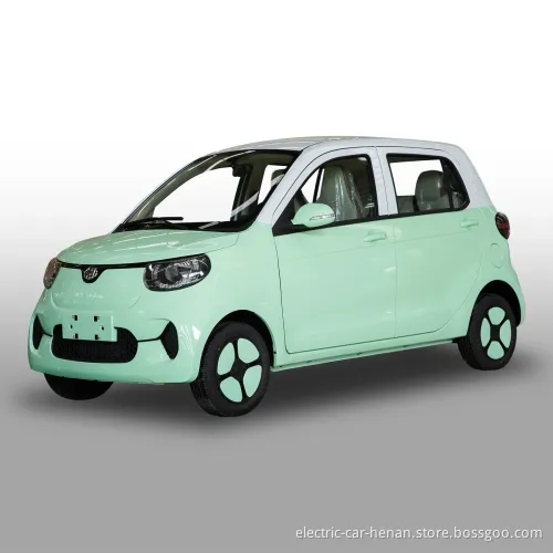 Family Polular Rhd Minn New Energy Vehicle